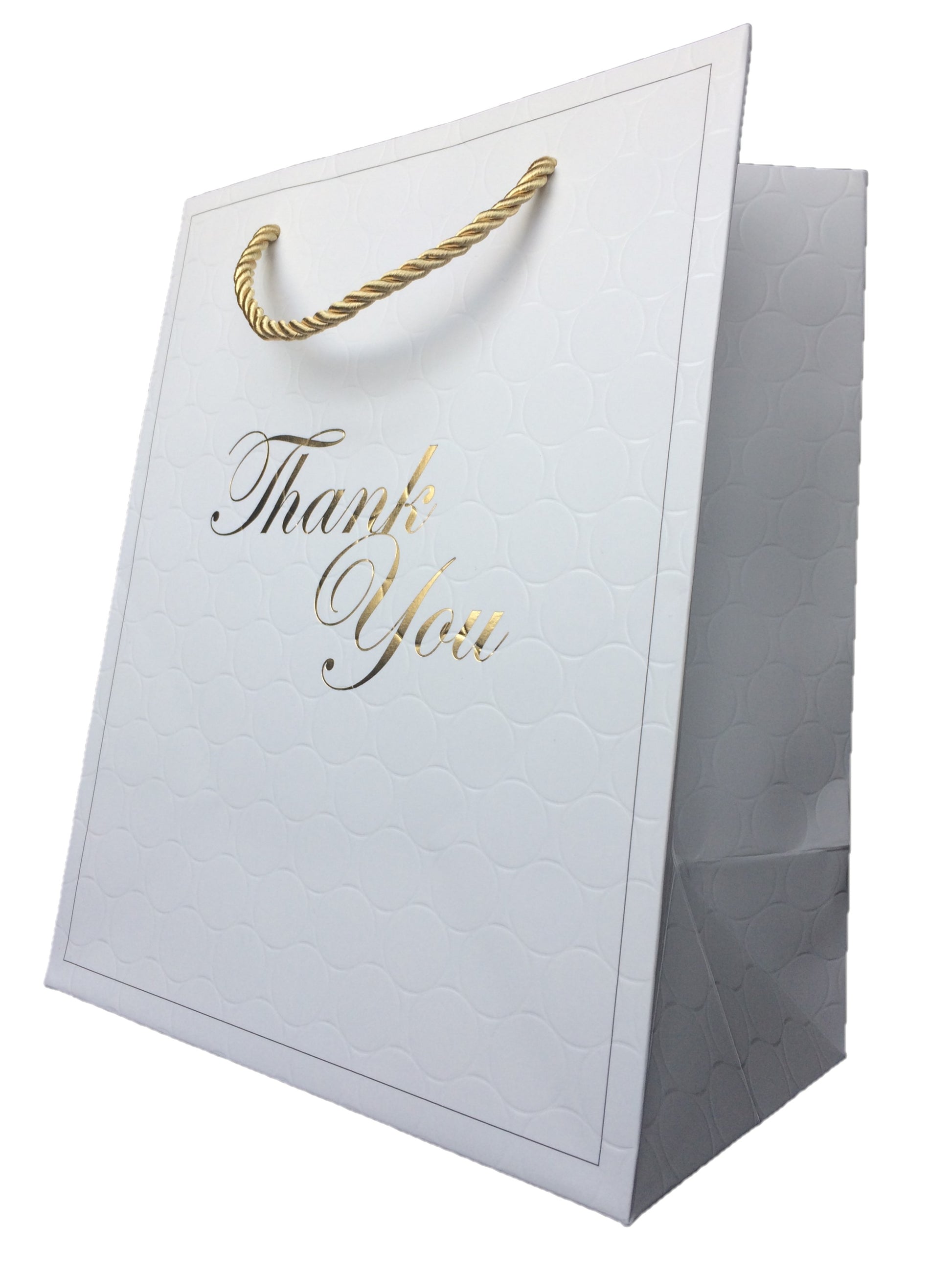 5 x 10 Medium Hotel Welcome Kraft Paper Gift Bags with